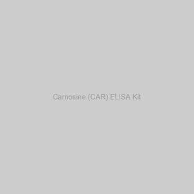 Carnosine (CAR) ELISA Kit
